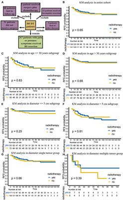 Postoperative Adjuvant Radiotherapy Can Delay the Recurrence of Desmoid Tumors After R0 Resection in Certain Subgroups